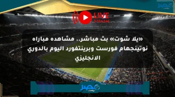 «يلا شوت» بث مباشر.. مشاهدة مباراة نوتينجهام فورست وبرينتفورد اليوم بالدوري الإنجليزي